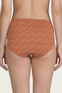 Zivame Medium Rise Full Coverage Hipster Panty (Pack of 3) - Multicolor — thumbnail 4
